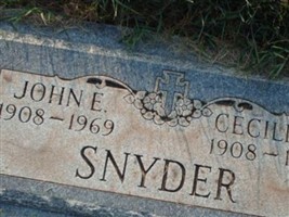 Cecilia R Snyder Cecilia R Snyder