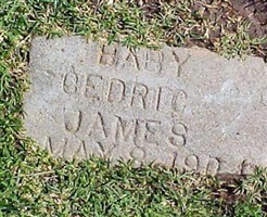 Cedric James Cedric James