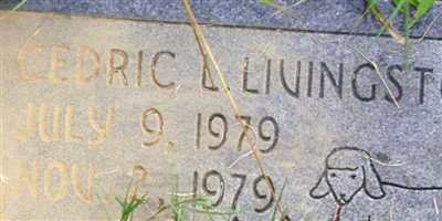 Cedric L. Livingston Cedric L. Livingston
