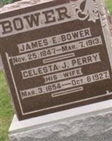 Celesta J. Perry Bower