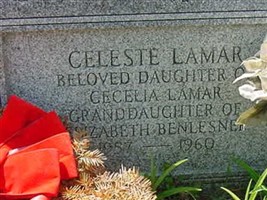 Celeste Lamar Celeste Lamar