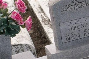 Celeste Vidrine Veronie Celeste Vidrine Veronie