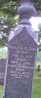 Celestia D. Cook Celestia D. Cook
