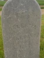 Celestia Hampp