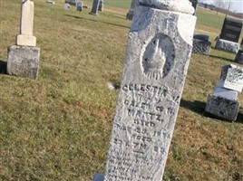Celestia J Martz