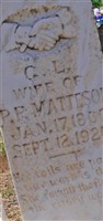 Celestia Louisa Gardiner Matteson (2108202.jpg)
