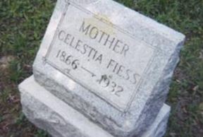 Celestia Steel Fiess