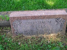 Celestial Monda Wells