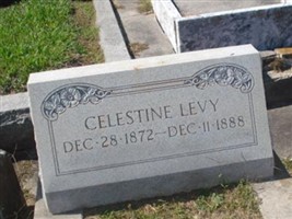 Celestine Levy Celestine Levy