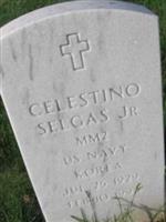 Celestino Selgas, Jr