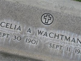 Celia A Wachtmann Celia A Wachtmann