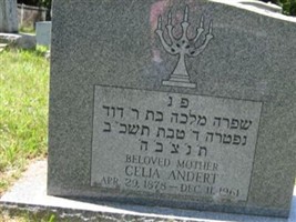 Celia Altschuler Andert Celia Altschuler Andert