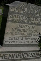 Celia Ann Smith Hendrickson