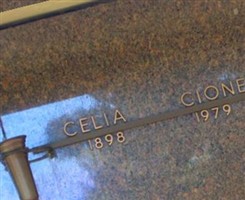 Celia Cione Celia Cione
