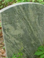Celia E. Nixon