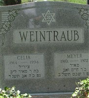 Celia M Weintraub Celia M Weintraub