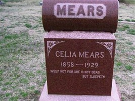 Celia Mears