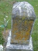Celia Ray Lawrence