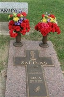 Celia Salinas