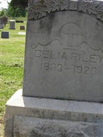 Celia T. Riley Celia T. Riley