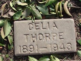 Celia Thorpe Celia Thorpe