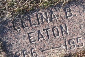 Celina B Eaton Celina B Eaton