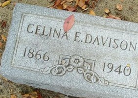 Celina E. Davison Celina E. Davison