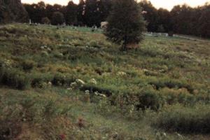 Center Strafford Cemetery