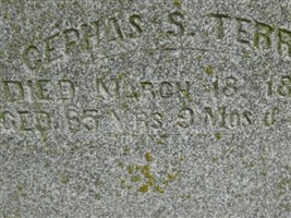 Cephas S Terry Cephas S Terry