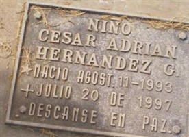 Cesar Adrian Hernandez