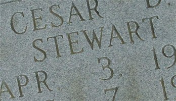 Cesar D Stewart Cesar D Stewart