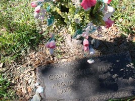 Cesar Javier Munoz