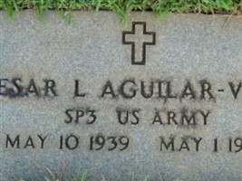 Cesar L Aguilar-Vega