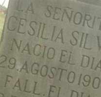 Cesilia Silva