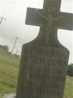 Cesilia Silva