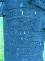 Cevil A Cooper Cevil A Cooper