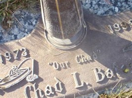 Chad L Bales Chad L Bales