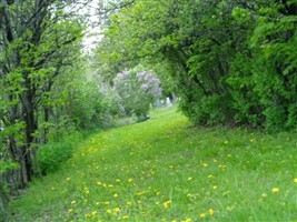 Chalker Cemetery