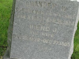 Chancey W Knickerbocker