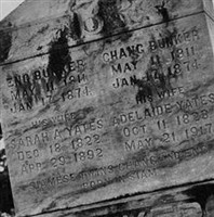 Chang and Eng Bunker Chang and Eng Bunker