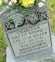 Charlean Miller Charlean Miller