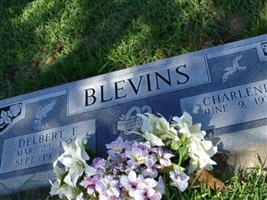 Charlene Blevins Charlene Blevins