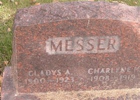 Charlene H Messer