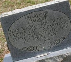Charlene Lambert Charlene Lambert