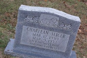Charlene Slicer Charlene Slicer