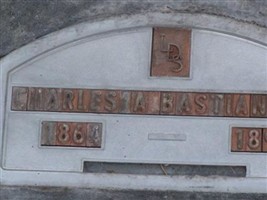 Charles A Bastian Charles A Bastian