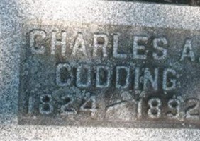 Charles A Codding Charles A Codding