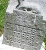 Charles A Dobbs Charles A Dobbs