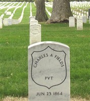 Charles A Fields Charles A Fields