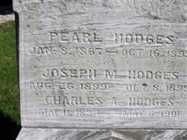 Charles A Hodges Charles A Hodges